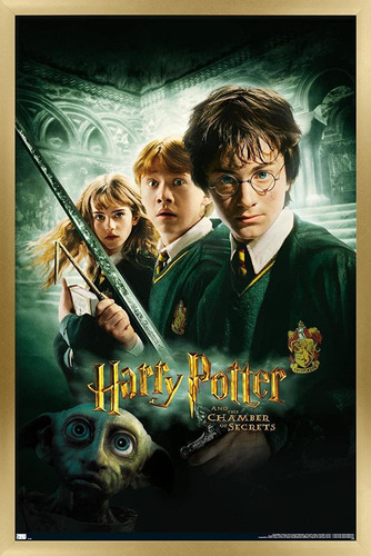 Póster De Pared De Una Hoja De   Potter Y La Cámara D...