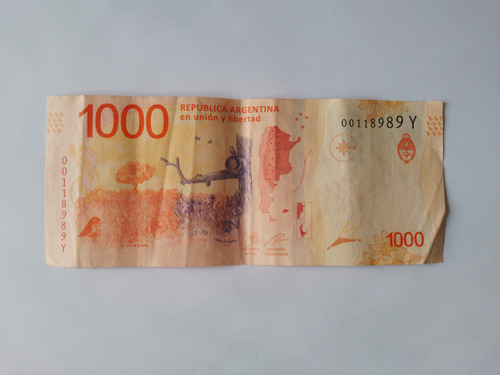 Billete Error Falla Mancha Tinta 1000 Pesos Hornero Y (Usado)