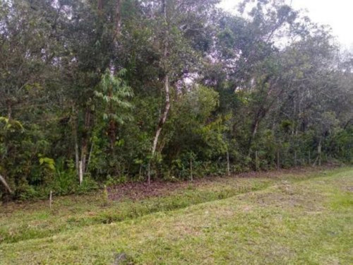 Imagem 15 de 20 de Chácara Em Itanhaém, No Balneário Gaivota, Com 5.085 M² De Área Total E Com Churrasqueira, Árvores E Vaga Para 08 Automóveis Ref: 8855/ac