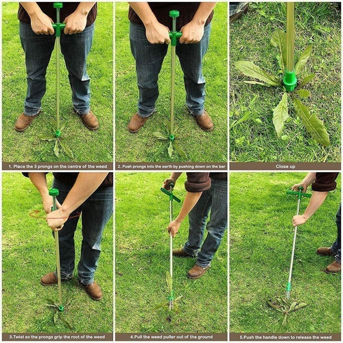 Herramientas De Escarda