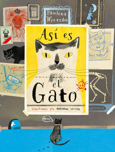 Así Es El Gato, de Paulina Wierzba. Editorial LATA DE SAL, tapa blanda, edición 1 en español