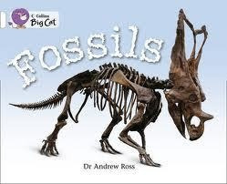 Fossils - Band 10 - Big Cat Kel Ediciones 
