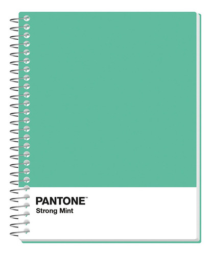 Pack 5 Cuadernos Premium Rhein Pantone