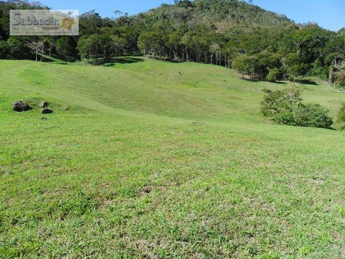 Imagem 1 de 20 de Terreno Residencial À Venda, Pedro Do Rio, Petrópolis. - Te0025