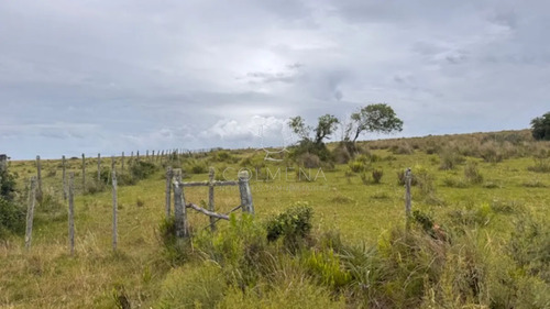 Campo 26 Has Sobre Camino Los Molles