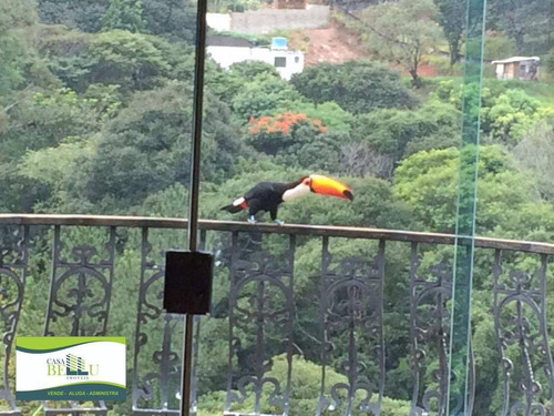 Imagem 21 de 27 de Chácara Residencial À Venda, Monterrey, Louveira. - Ch0002