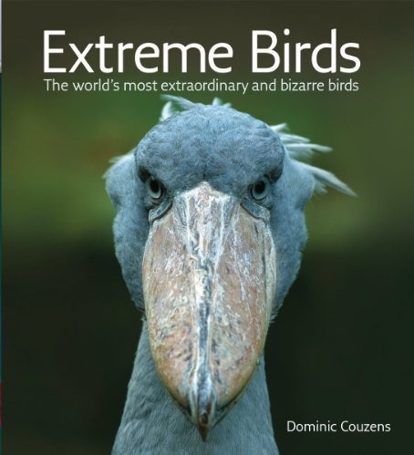 Las Aves Extremas: El Mundo Más Extraordinarios Y Extraños P