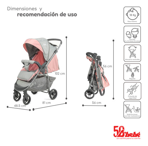 Carreola Para Bebé D'bebé Max Travel System Max Color Rosa Chasis Gris