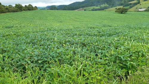 Imagem 7 de 16 de Fazenda 200 Hectares De Café No Municipio De Machado 12.000,000,00 - 39055