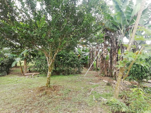Imagen 18 de 22 de Vendo Hermosa Hacienda