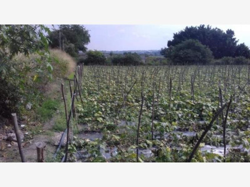 Imagen 8 de 10 de Venta Terreno Cuautlixco