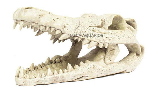Enfeite Aquário Esqueleto Cabeça Crocodilo Pequeno 54100
