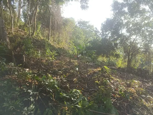 Lote Villeta