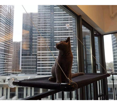 Hpercha Ventana Gato Hamaca Gato Cama Con Ventana Para Gatos