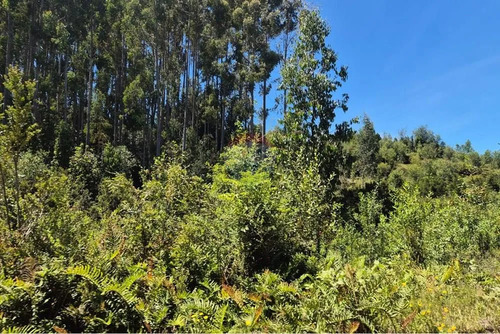 Venta Parcela En Condominio Rio Puntra Ancud