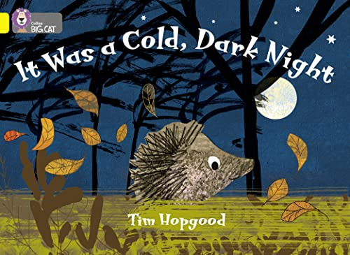 Libro It Was A Cold Dark Night De Hopgood, Tim