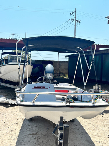 13ft Motor Yamaha 40hp 4t, Con Capacidad De Hasta 4 Personas