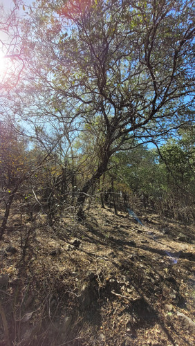 Venta De Terreno Campo En Las Sierras De Cordoba Unquillo Argentina