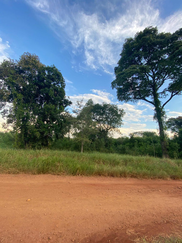 Terrenos En Venta