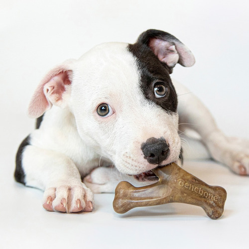 Imagen 2 de 10 de Hueso Benebone Puppy Wishbone/ Dental Chew 2pk Juguete Perro