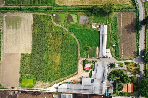 Imagen 26 de 29 de Granja Agrícola Y Porcina Turmero, De 5.7 Hectáreas 04123465023