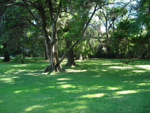 Imagen 7 de 30 de Venta De Quinta En La Lonja, Zona Pilar, Buenos Aires, Argentina