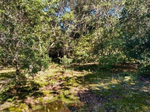 Imagem 5 de 6 de Terreno 1000m² Lado Serra À Venda Em Itanhaém-bopiranga 8441