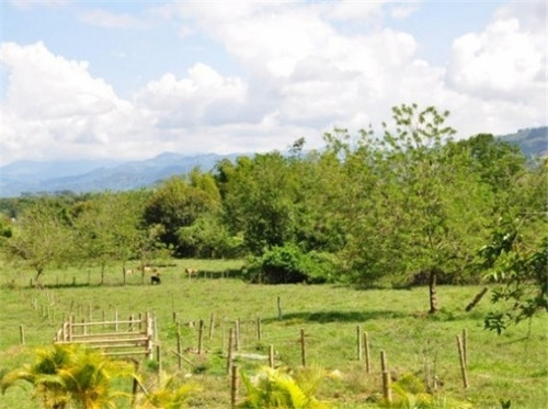 Imagen 10 de 29 de Venta Finca En Santagueda. Cod:305599