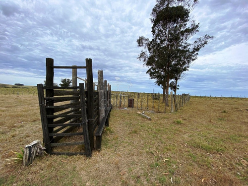 Imagen 8 de 30 de Negocio!! Antes U$s 320000, Hoy Liquida En U$s 185000 - Jose Ignacio José Ignacio