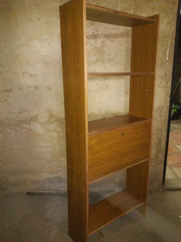 Estante De Madera Con Puerta Rebatible (Usado)