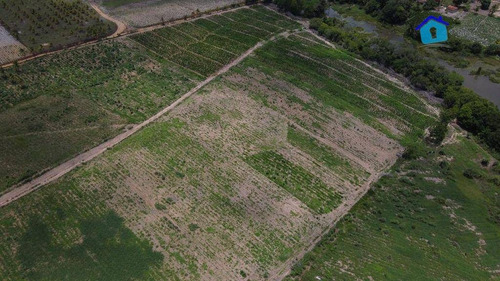 Imagem 22 de 30 de Granja Com 13 Hectares E Plantação Rentabilizando - Ch0065