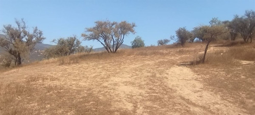 Parcela En Venta En Quilpué