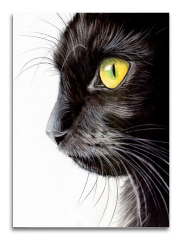 Cuadro Gato Negro Perfil Lienzo 27x36cm