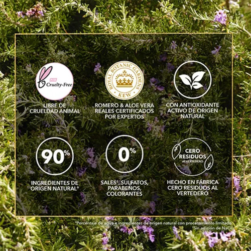 Acondicionador Bíorenew Romero/hierbas 400ml Herbal Essences
