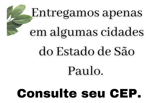 Imagem 2 de 6 de Porta Camarão Madeira Completa - Medidas Diversas