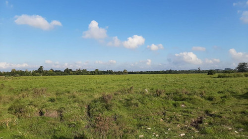 Campo De 26 Has A Metros De Ruta 9 En Pan De Azúcar