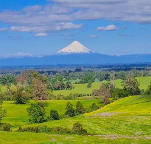 Aprovecha La Oferta Imperdible En Frutillar Inversión Segura