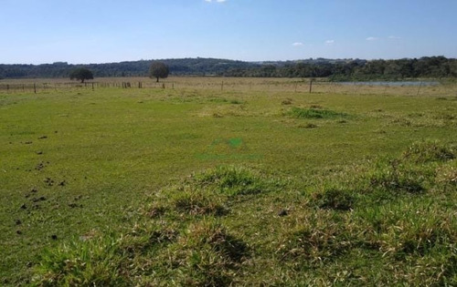 Imagem 3 de 29 de Fazenda 155 Alqueires, Terra Fértil, Rica Em Água Com Rio, 120 Alqueires Para Lavoura, 20 Alqueires Em Eucalipto, Casa Sede, Casa Caseiro, Curral - Fa00262 - 70837159