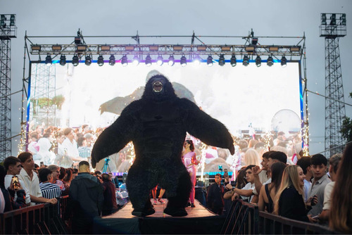 Osos Gigantes. Personajes Gigantes Para Tus Fiestas
