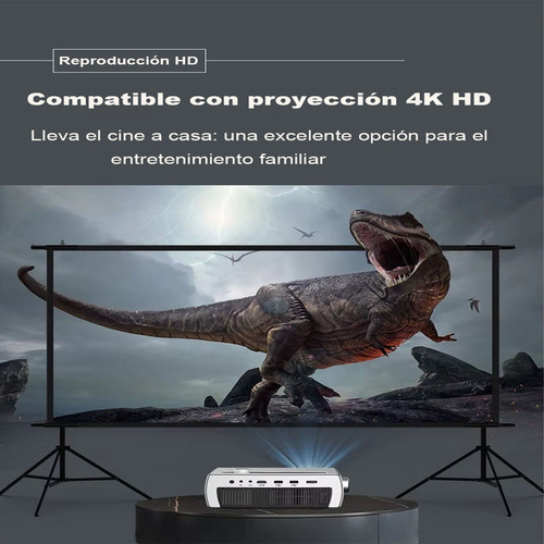 Pantalla De Proyección Exterior De 100 Pulgadas Con Soporte