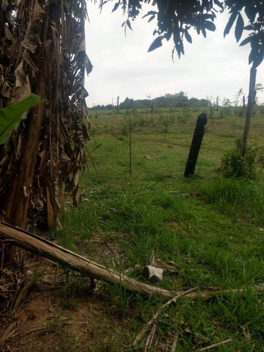 Imagem 5 de 14 de Vendo Chacara Regiao De Salto De Pirapora-sp (4243 )