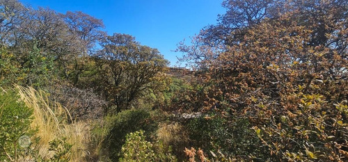 Terreno En Venta Rancho San Juan, Excelente Con 2 Frentes