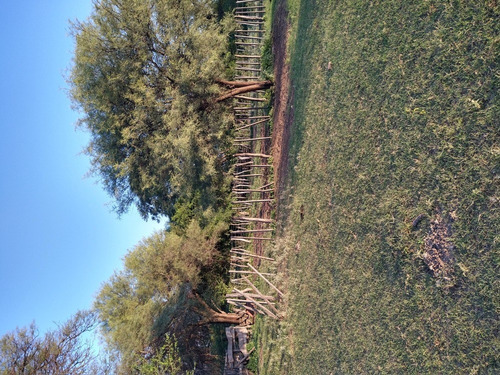 Imagen 13 de 19 de Excelente Campo En Chuchiras, San Javier