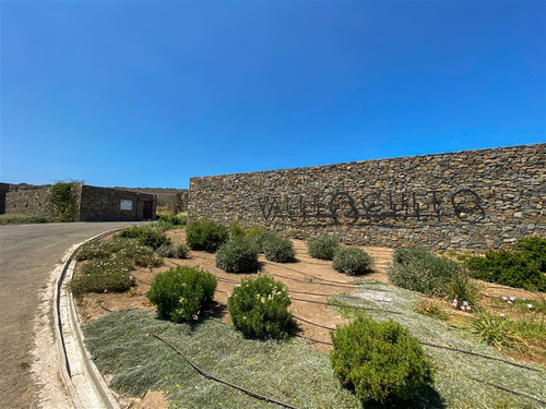 Imagen 3 de 29 de Sitio En 3 Has En Venta - Catapílco, Zapallar