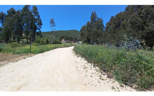 ¡último Lote Al Pie Del Cerro Mauco Con Excelente Conectivid