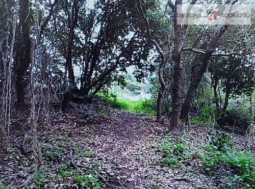 Sitio En Venta En Las Gaviotas, Concón