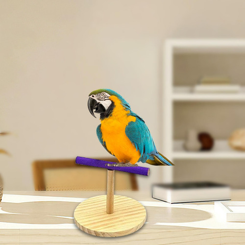 Soporte Parrot Playstand Para Loros, Agapornis