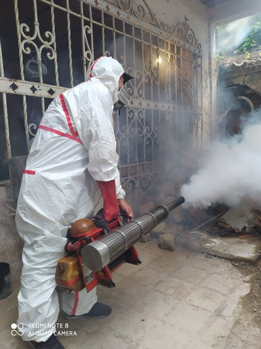 Imagen 2 de 5 de Fumigaciones Fullmi Rapit: Permiso Sanitario Dd-698 Af-099