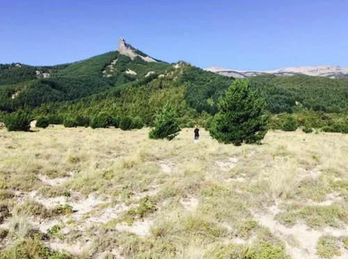 Imagen 2 de 5 de Terreno - Meliquina