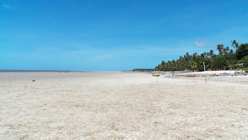 Imagem 4 de 8 de Sítio À Beira Mar Em Carne De Vaca Com 45100m² - 4,51 Hectares Por R$ 1.300.000 - Carne De Vaca - Goiana/pe - Te0016